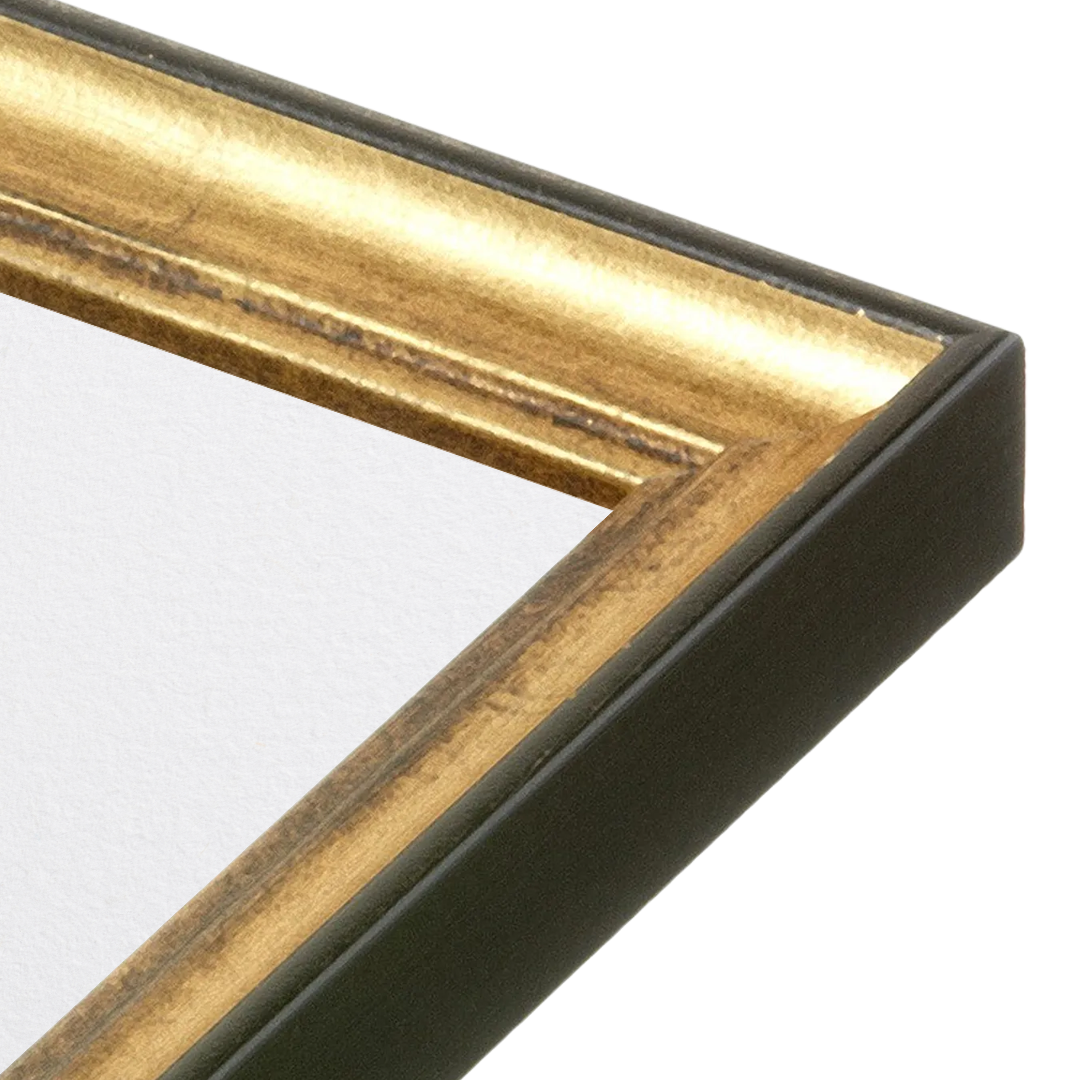 The Backbone Black and Gold Picture Frame