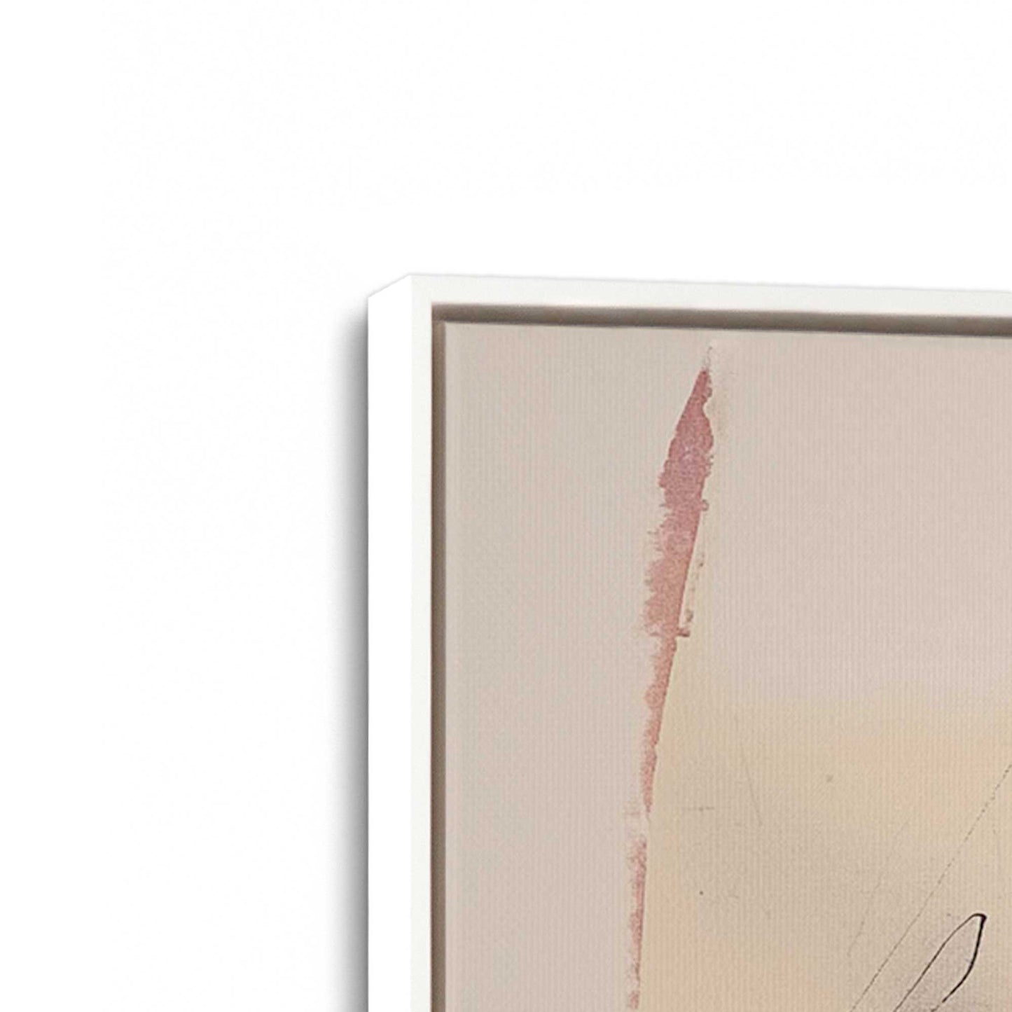 Pink and Orange Pulse Canvas Print, Set of 2