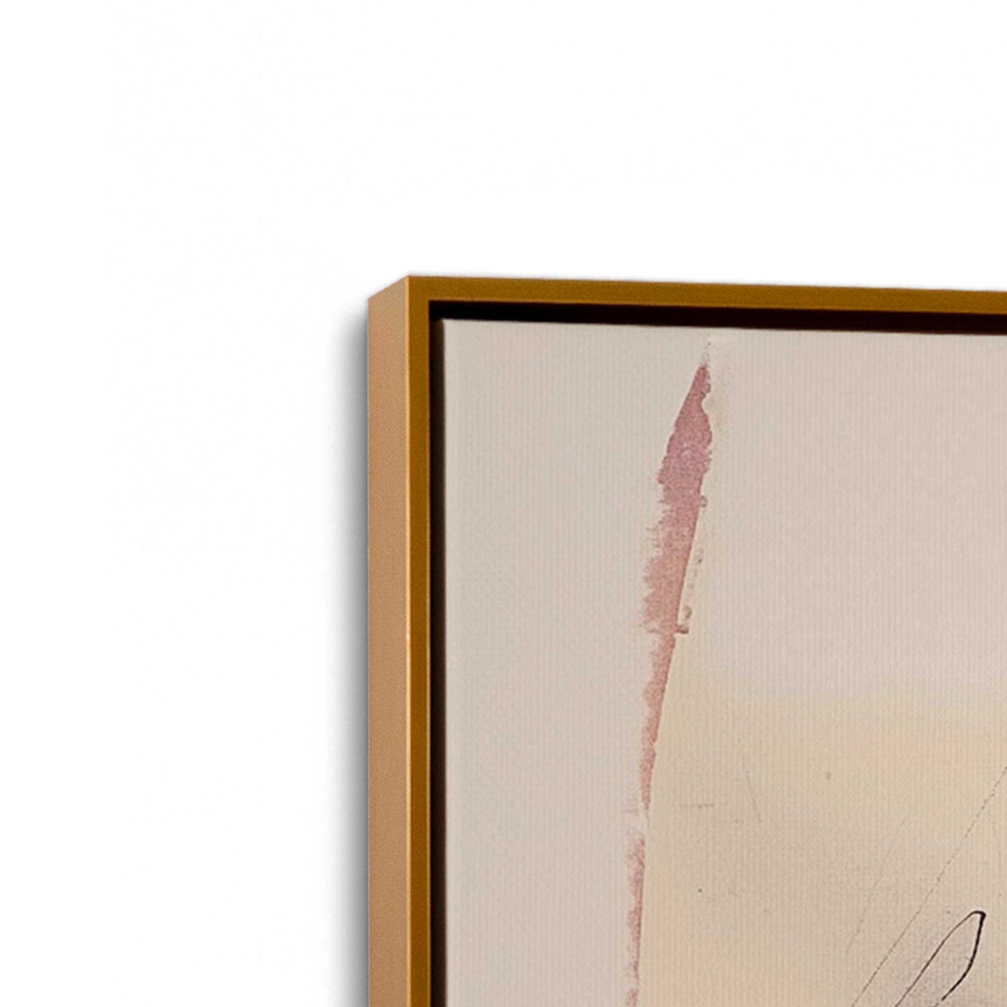 Pink and Orange Pulse Canvas Print, Set of 2