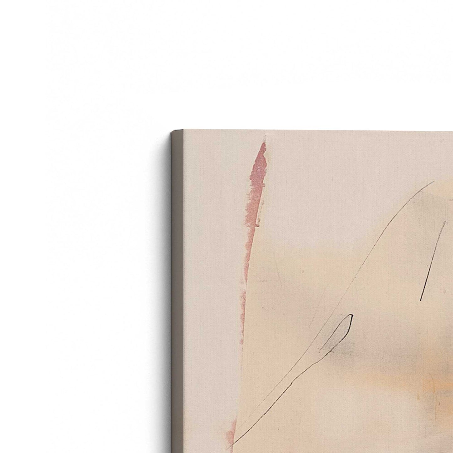 Pink and Orange Pulse Canvas Print, Set of 2