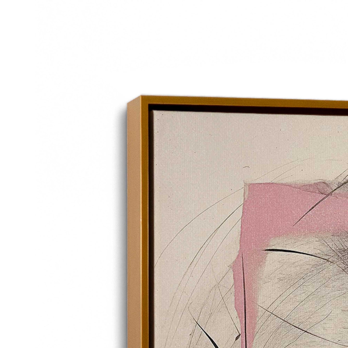 Black and Pink Echoes Canvas Print, Set of 2