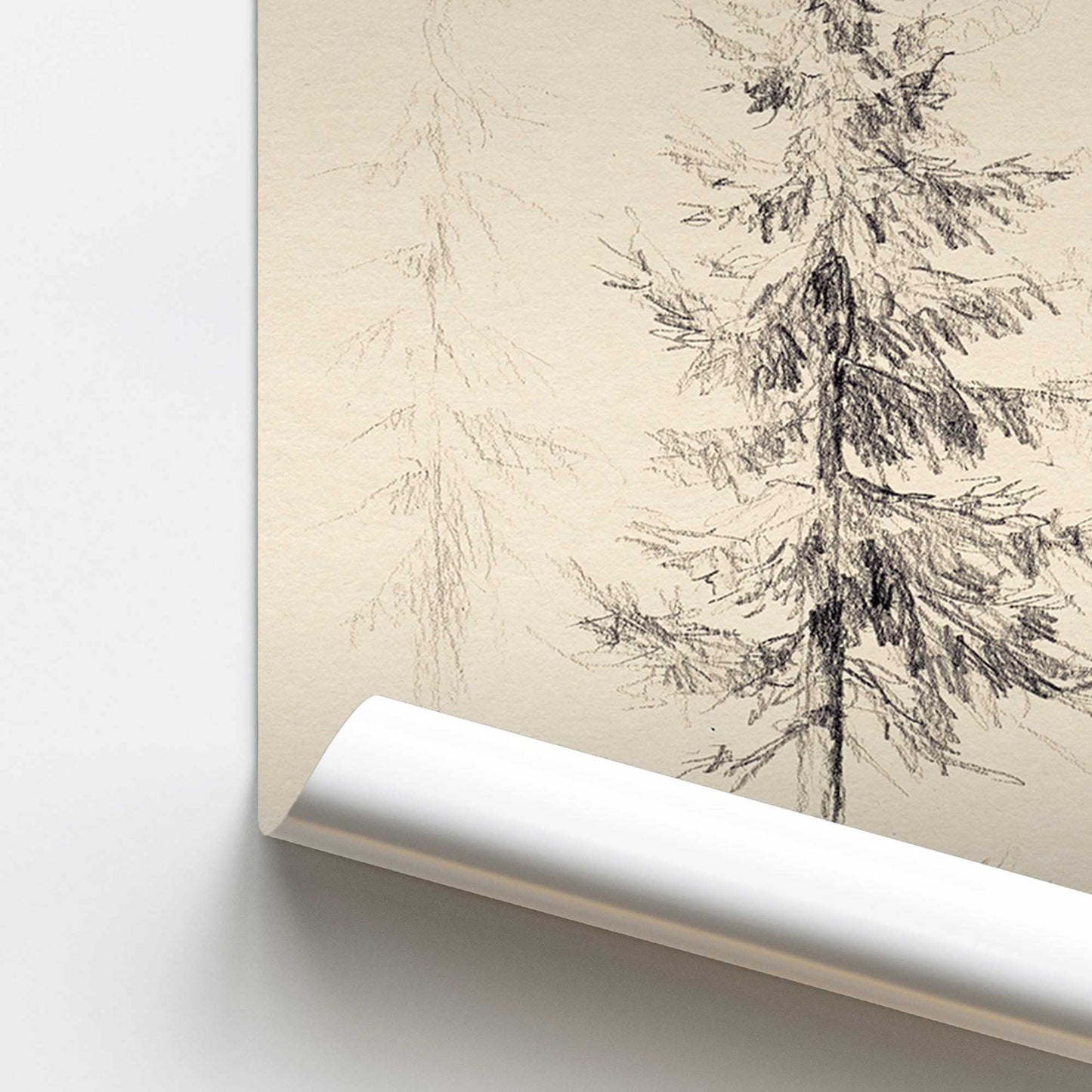 Winter Woods Paper Print