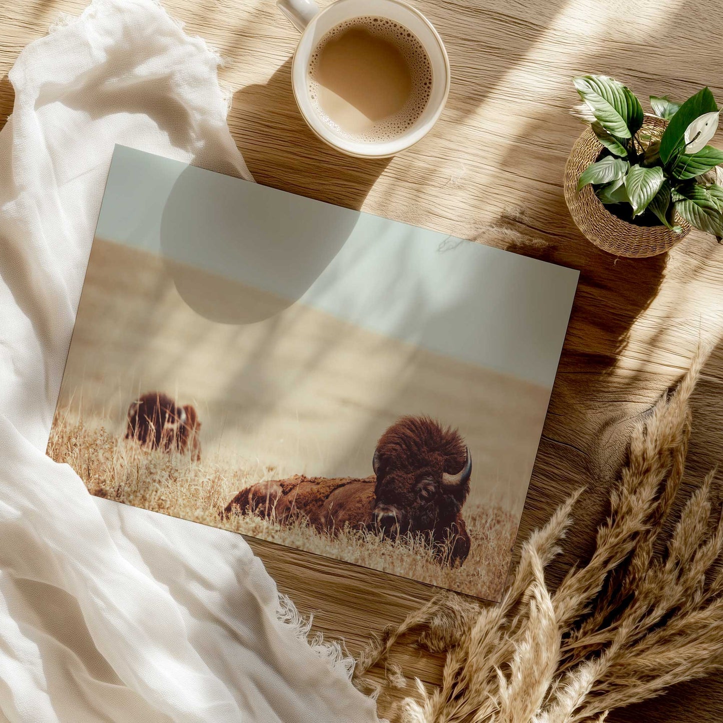 Prairie Pause Art Print