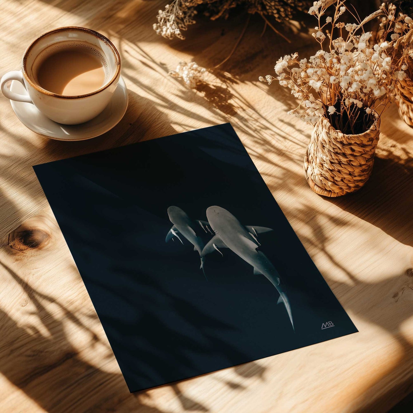 Shark Shadows Art Print