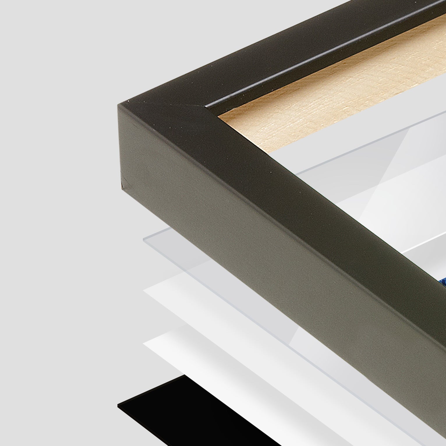 [Color:Opaque White],