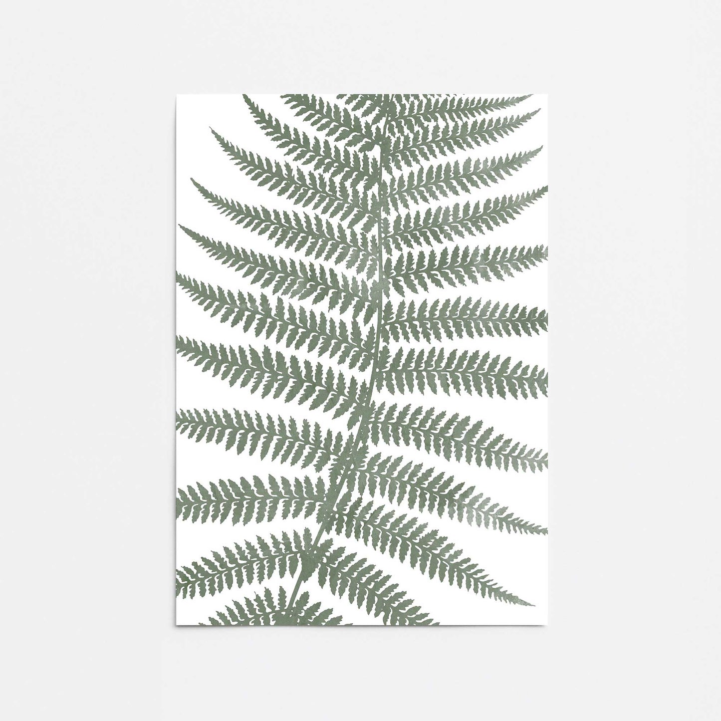 [color:Rolled Print], Picture of art