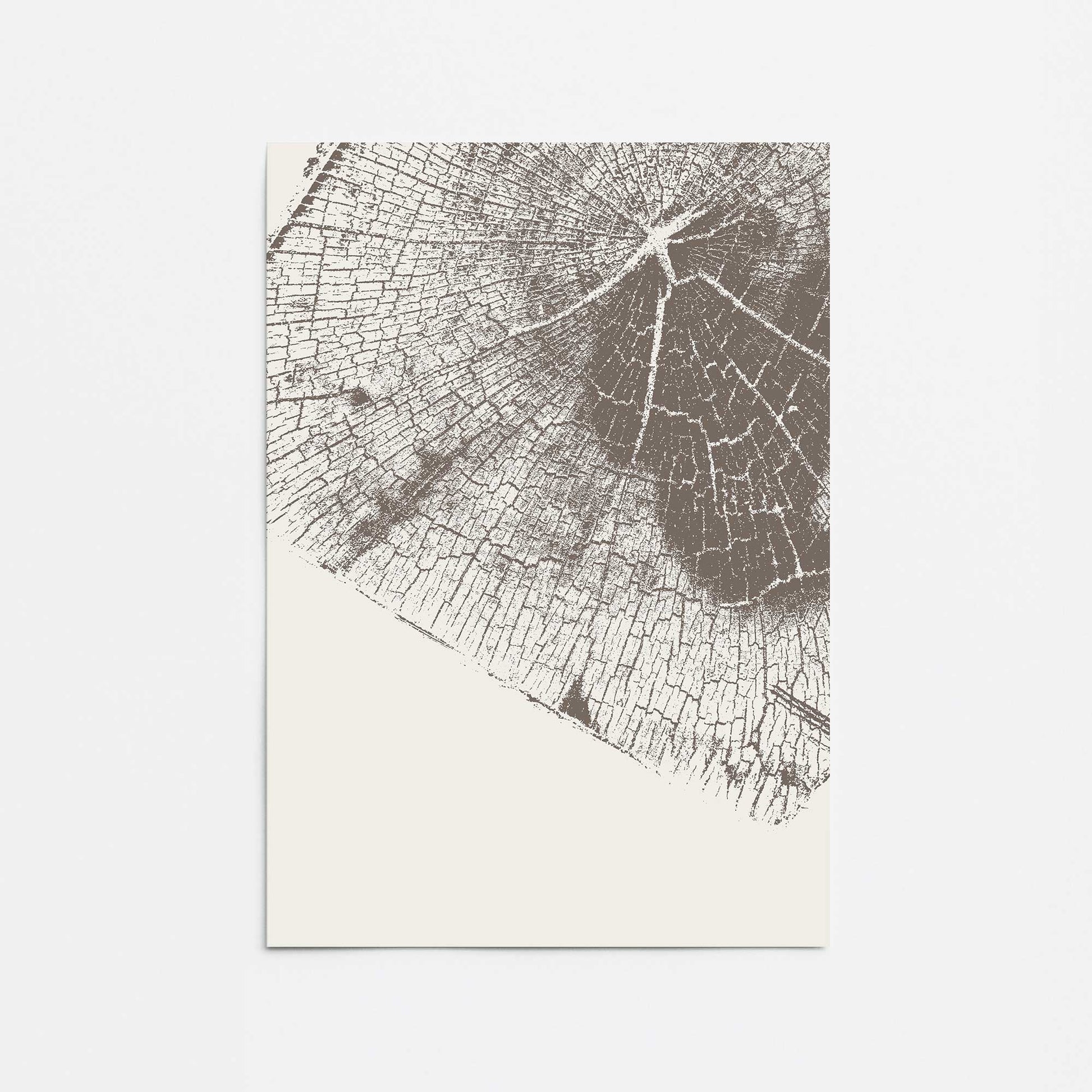 [color:Rolled Print], Picture of close up of art