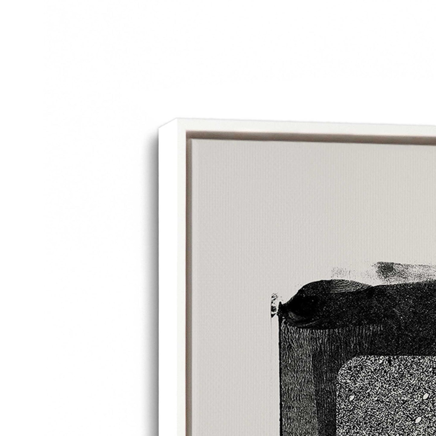 [Color:Opaque White], Picture of art in a White frame at an angle