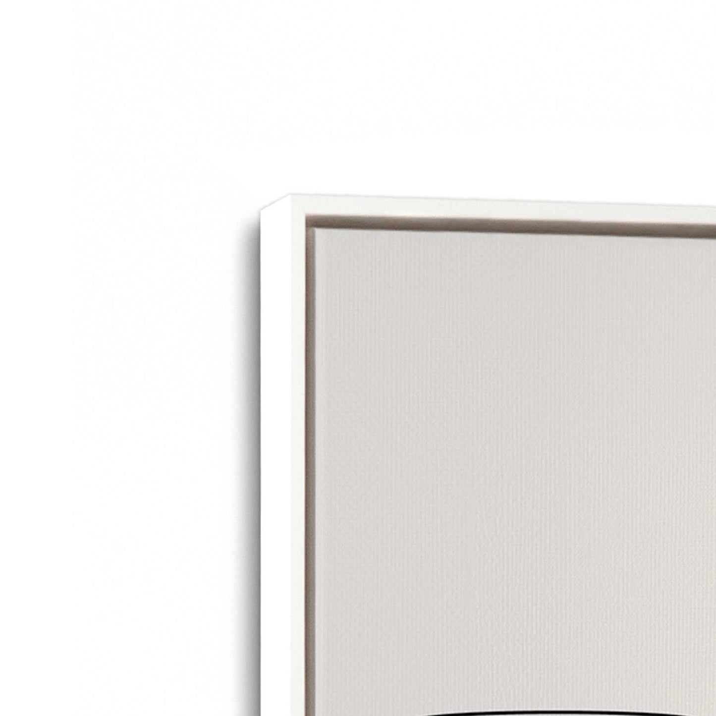[Color:Opaque White], Picture of art in a White frame at an angle