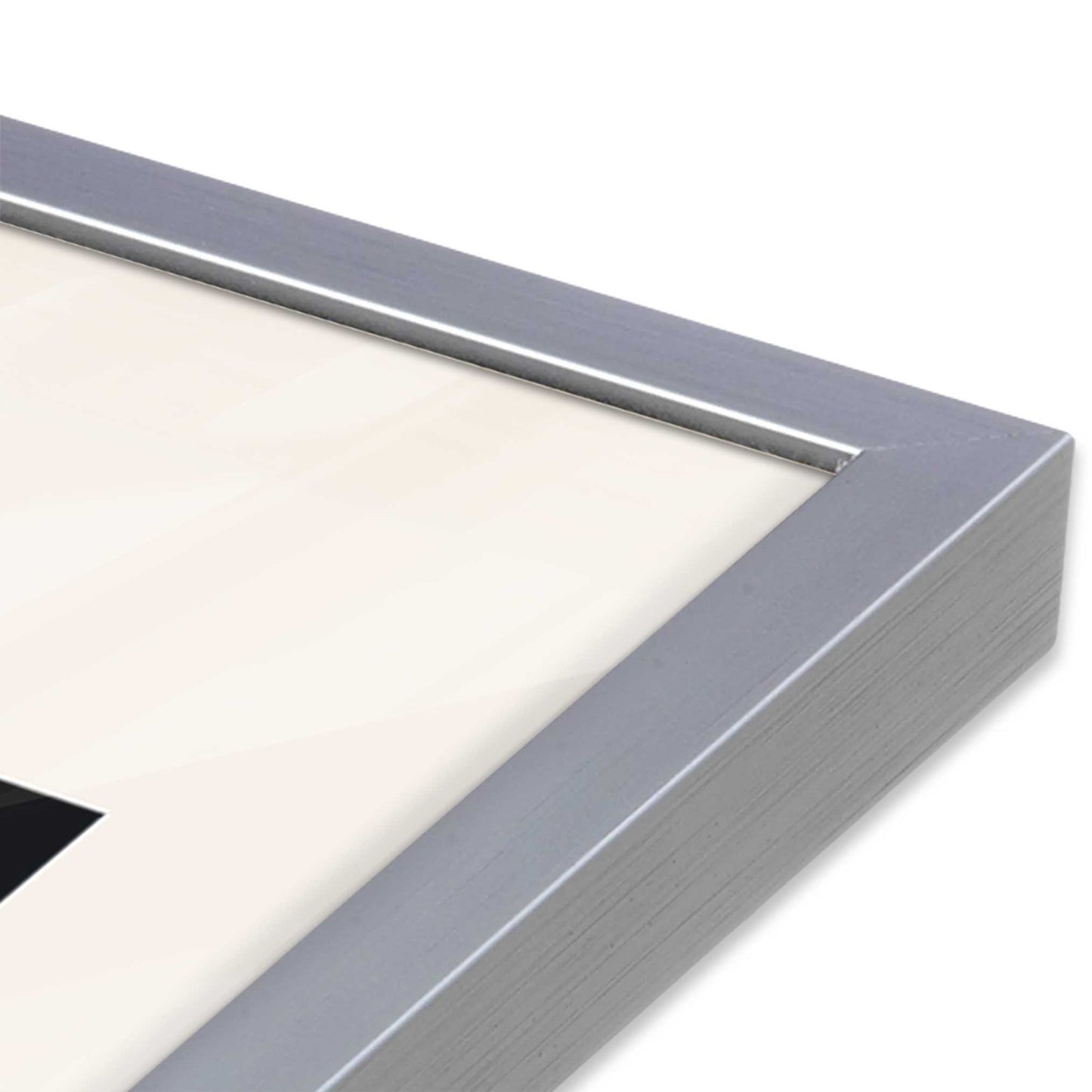 [Color:Polished Chrome], Picture of art in a Polished Chrome frame at an angle