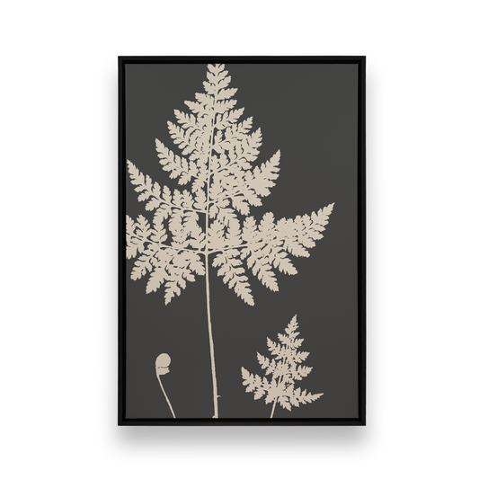 [Color:Satin Black], Front image of the art