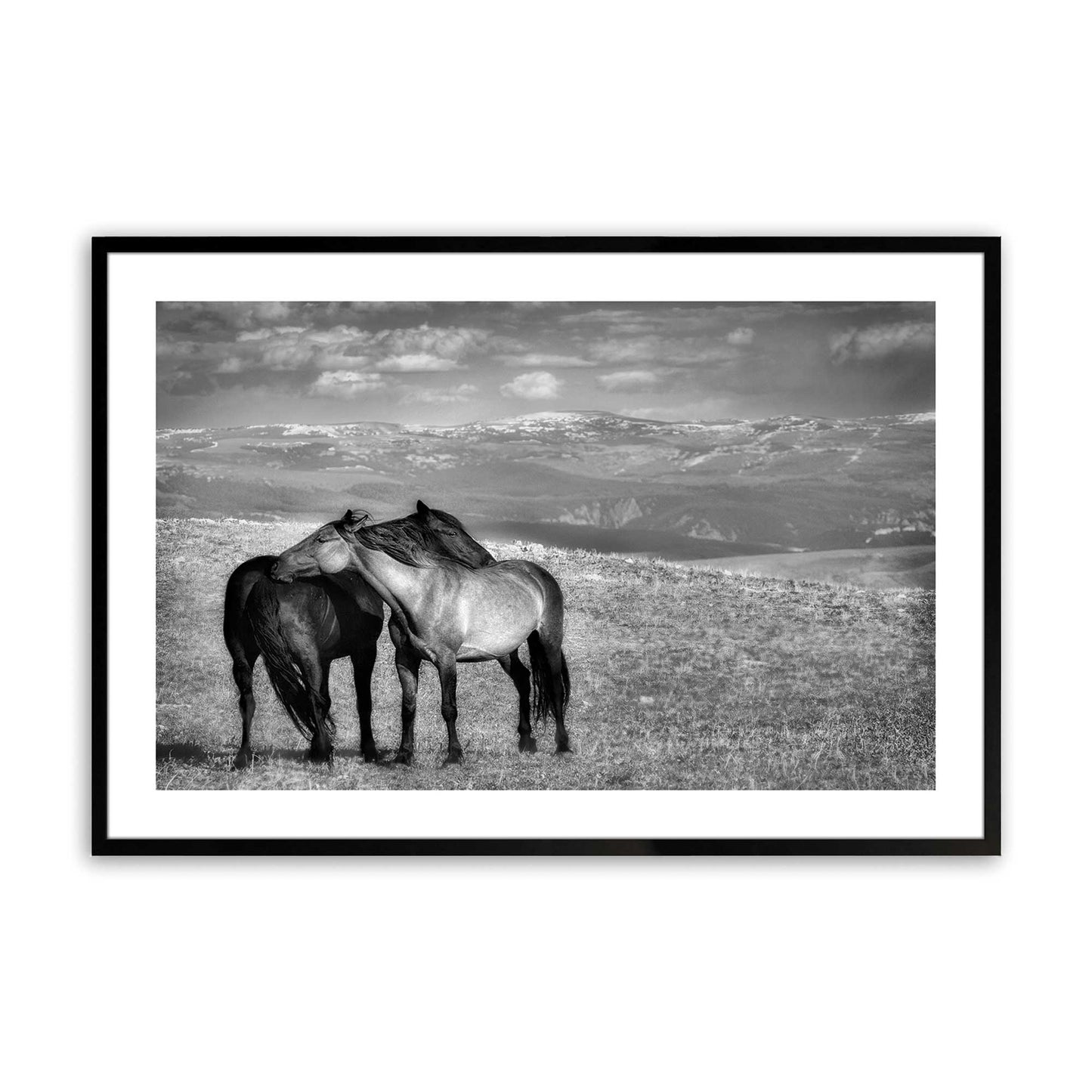 [Color:Satin Black],Front image of the art