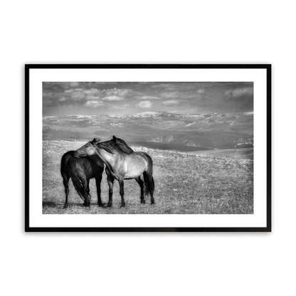 [Color:Satin Black],Front image of the art