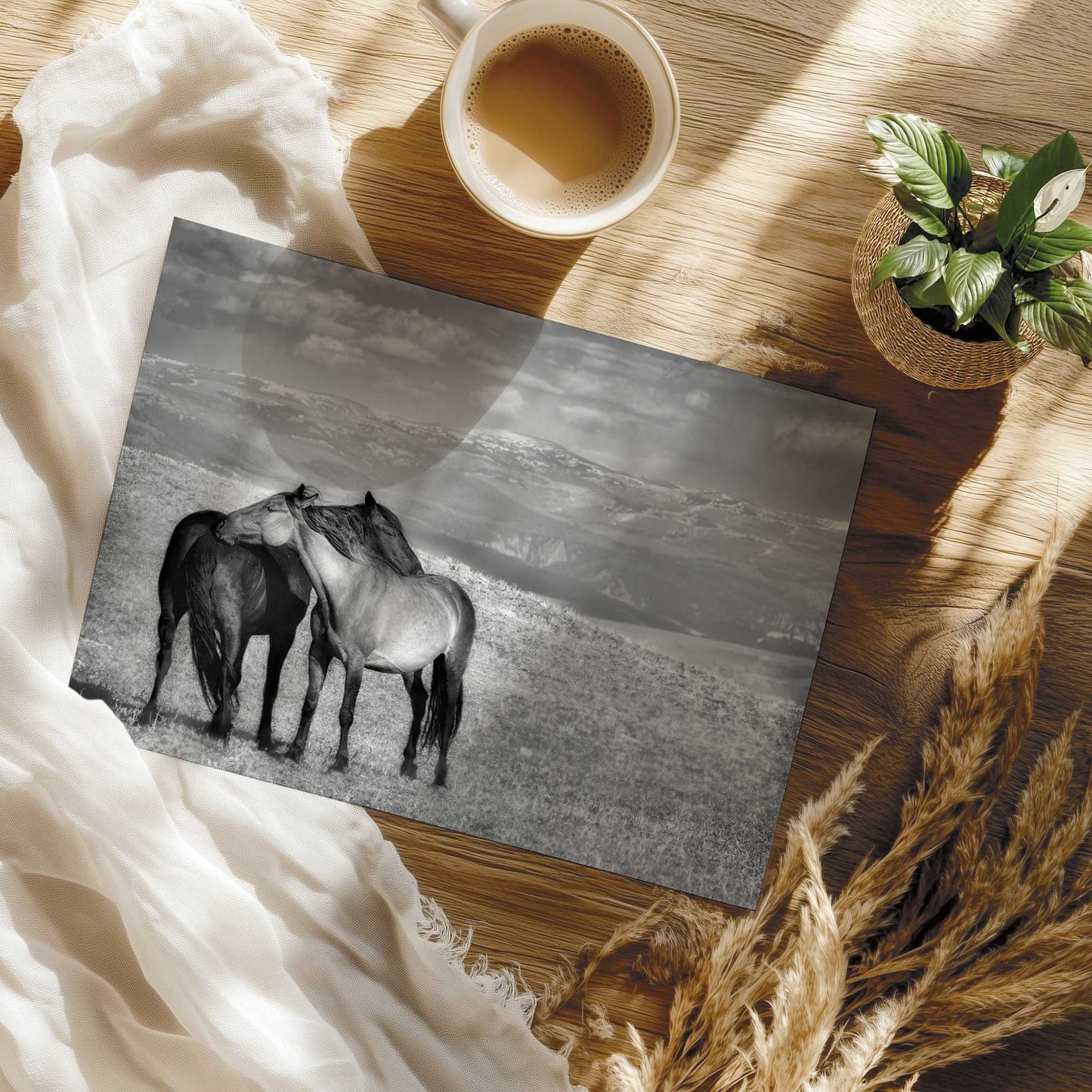Pair of Horses in Black and White Art Print