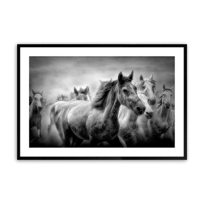 [Color:Satin Black],Front image of the art