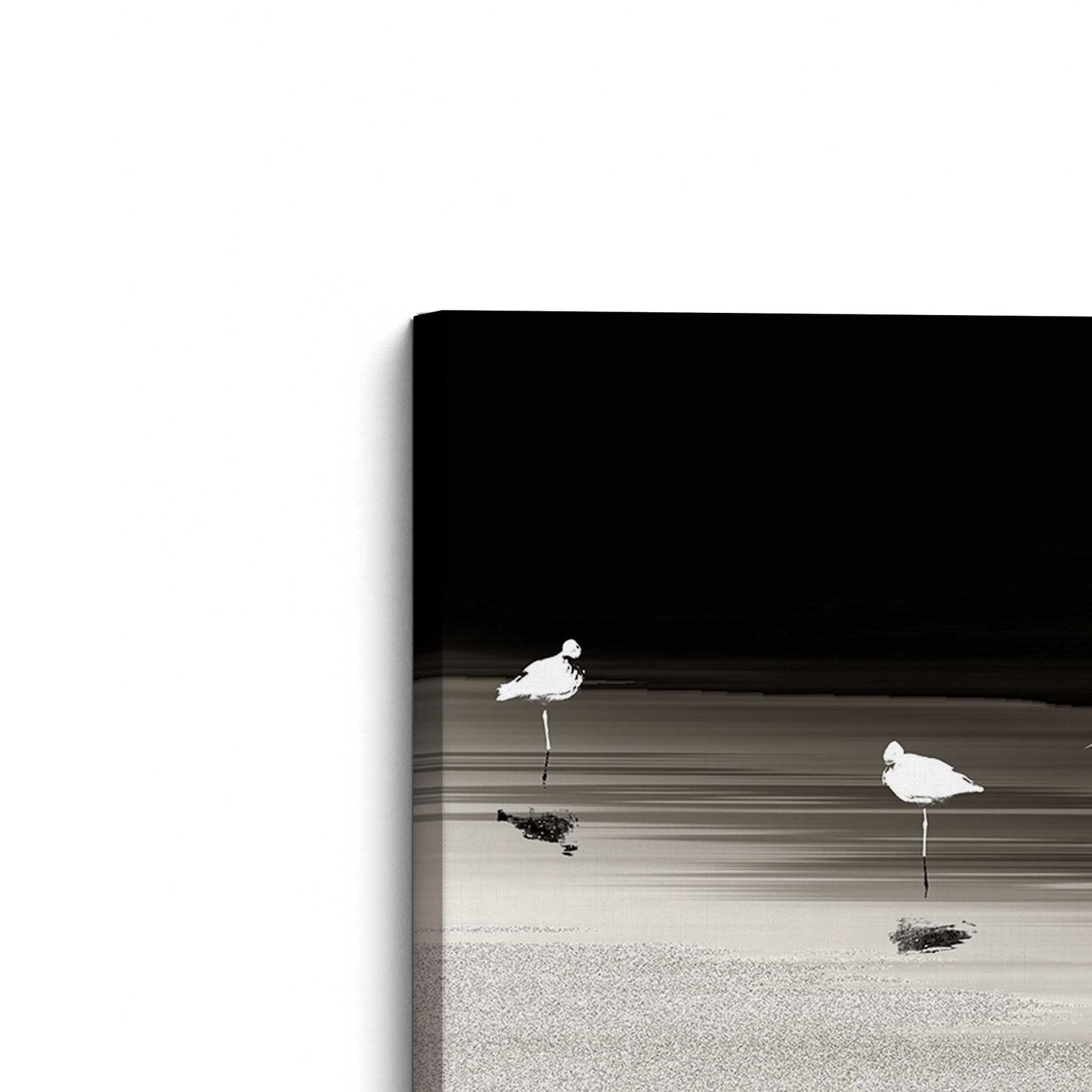 [Color:Stretched Canvas], Picture of the corner of the art