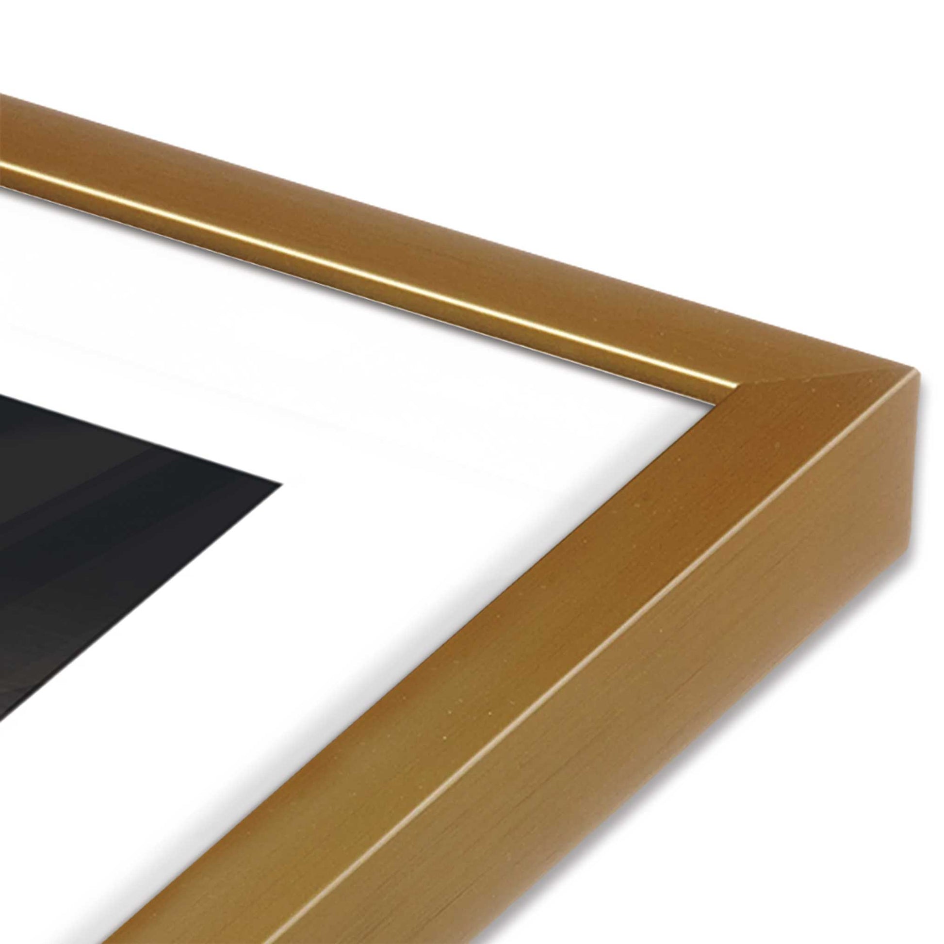 [Color:Polished Gold], Picture of art in a Polished Gold frame at an angle
