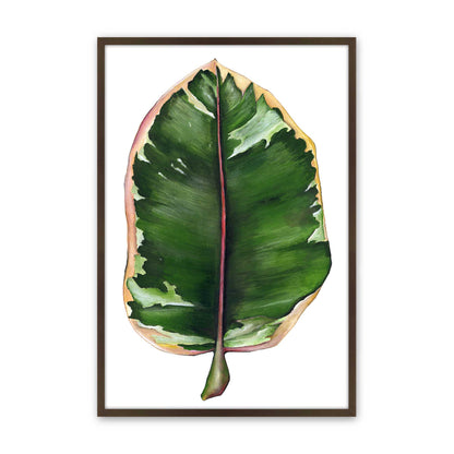 [Color:Belvinder Brown], Picture of art in a Belvinder Brown frame