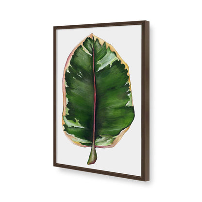 [Color:Belvinder Brown], Picture of art in a Belvinder Brown frame of the corner