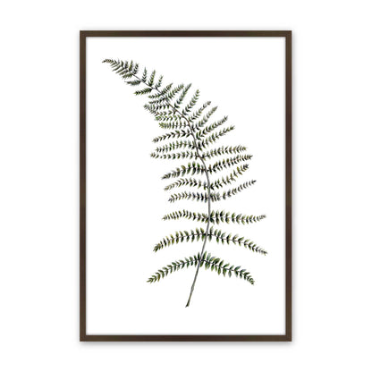 [Color:Brown], Picture of art in a Brown frame