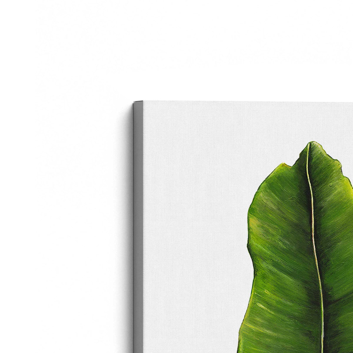[Color:Stretched Canvas], Picture of the corner of the art