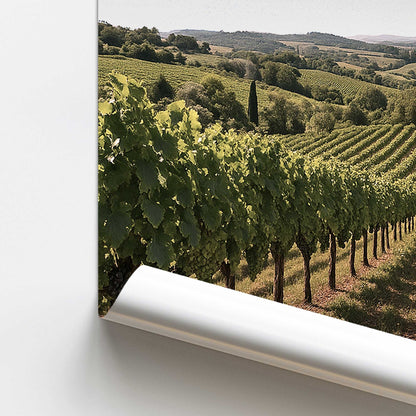 Golden Vineyard View Paper Print
