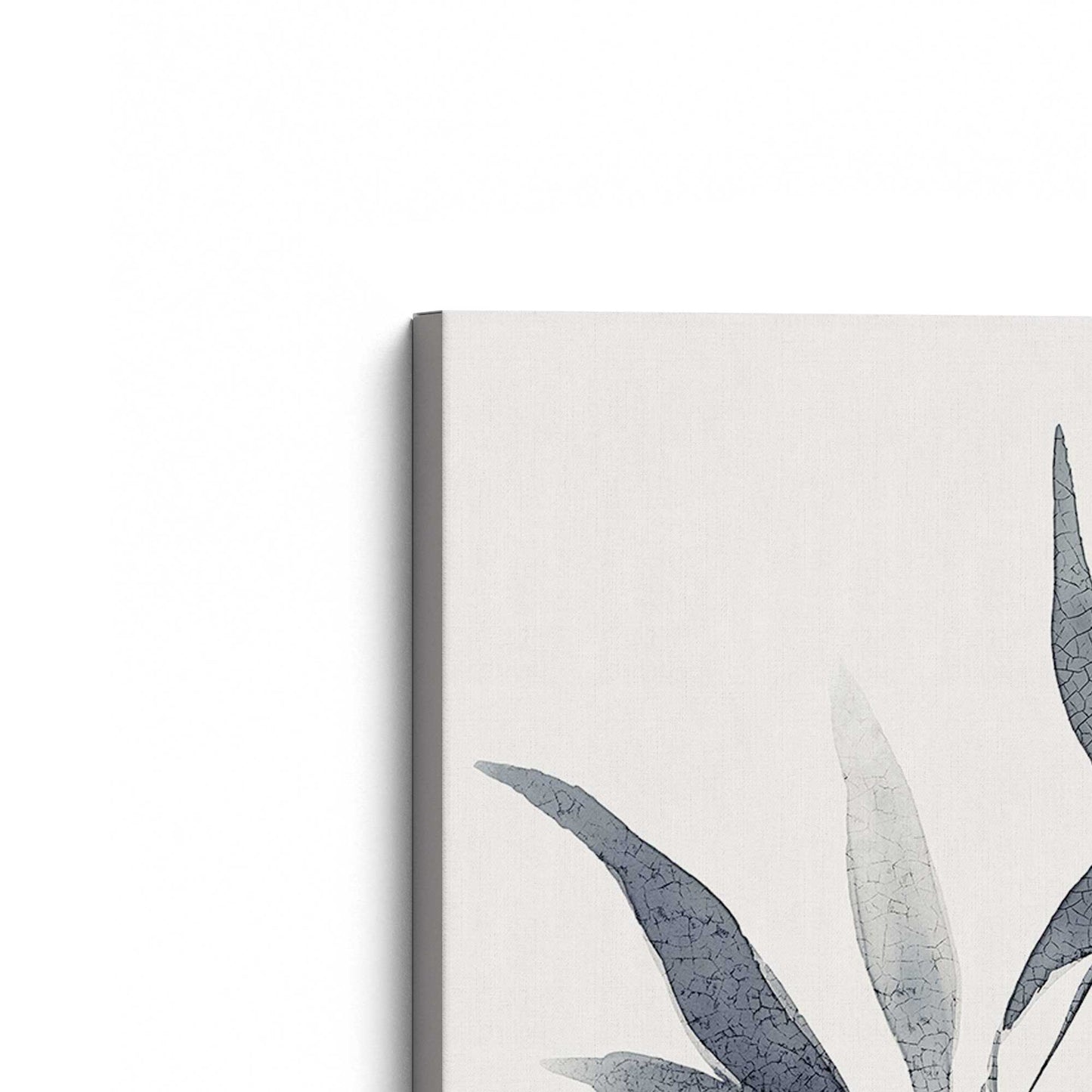 [Color:Stretched Canvas], Picture of the corner of the art