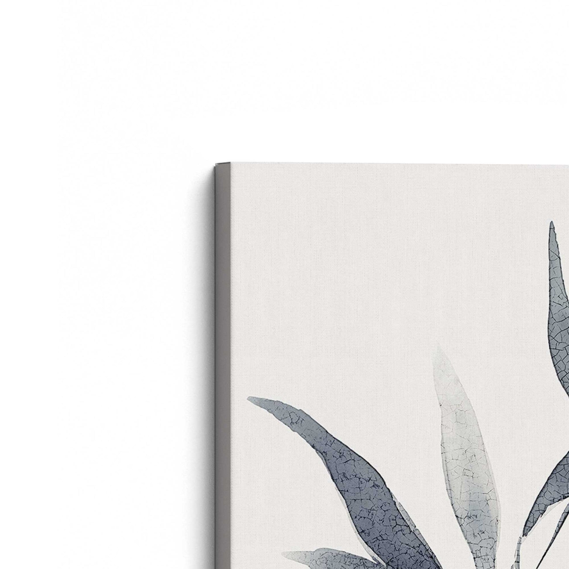 [Color:Stretched Canvas], Picture of the corner of the art
