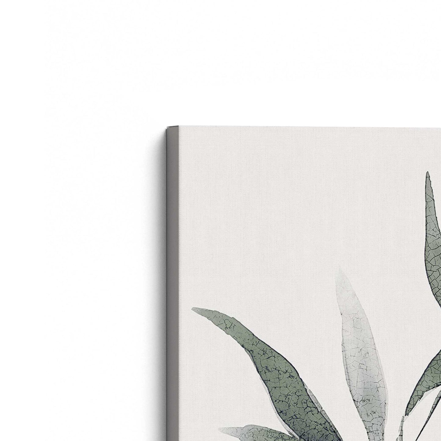 [Color:Stretched Canvas], Picture of the corner of the art
