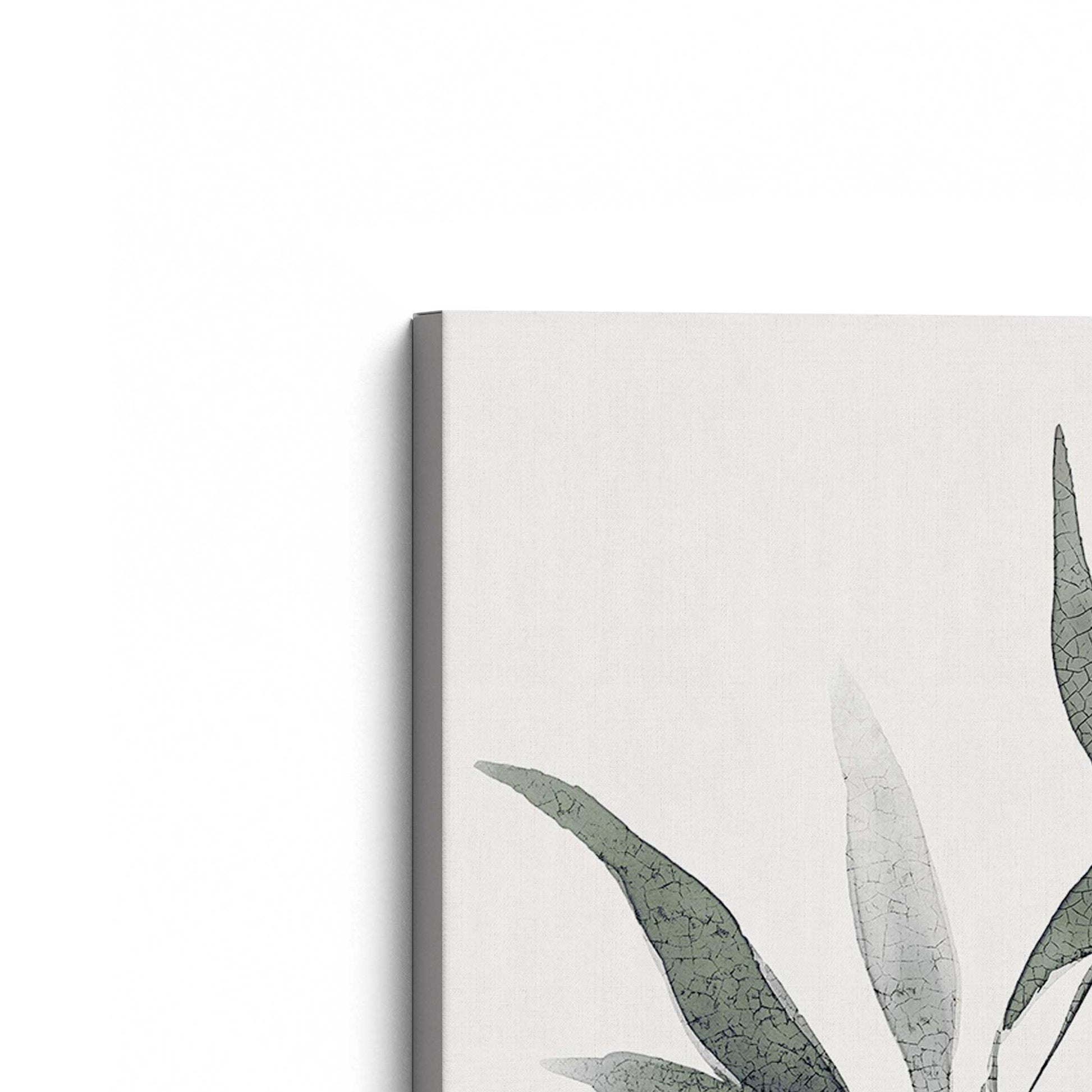[Color:Stretched Canvas], Picture of the corner of the art