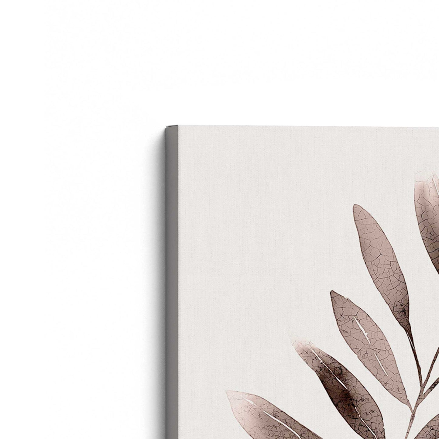 Soft Blush Leaves Canvas Print, Set of 2