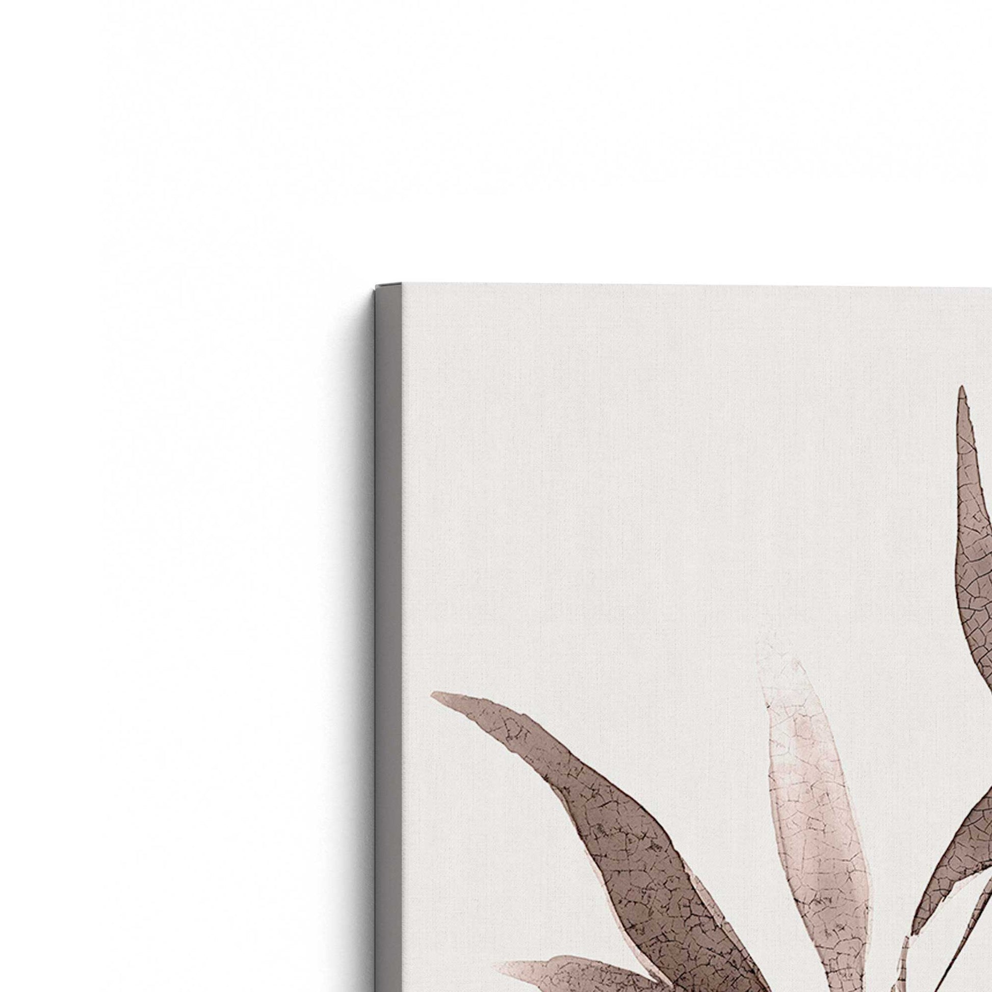 [Color:Stretched Canvas], Picture of the corner of the art