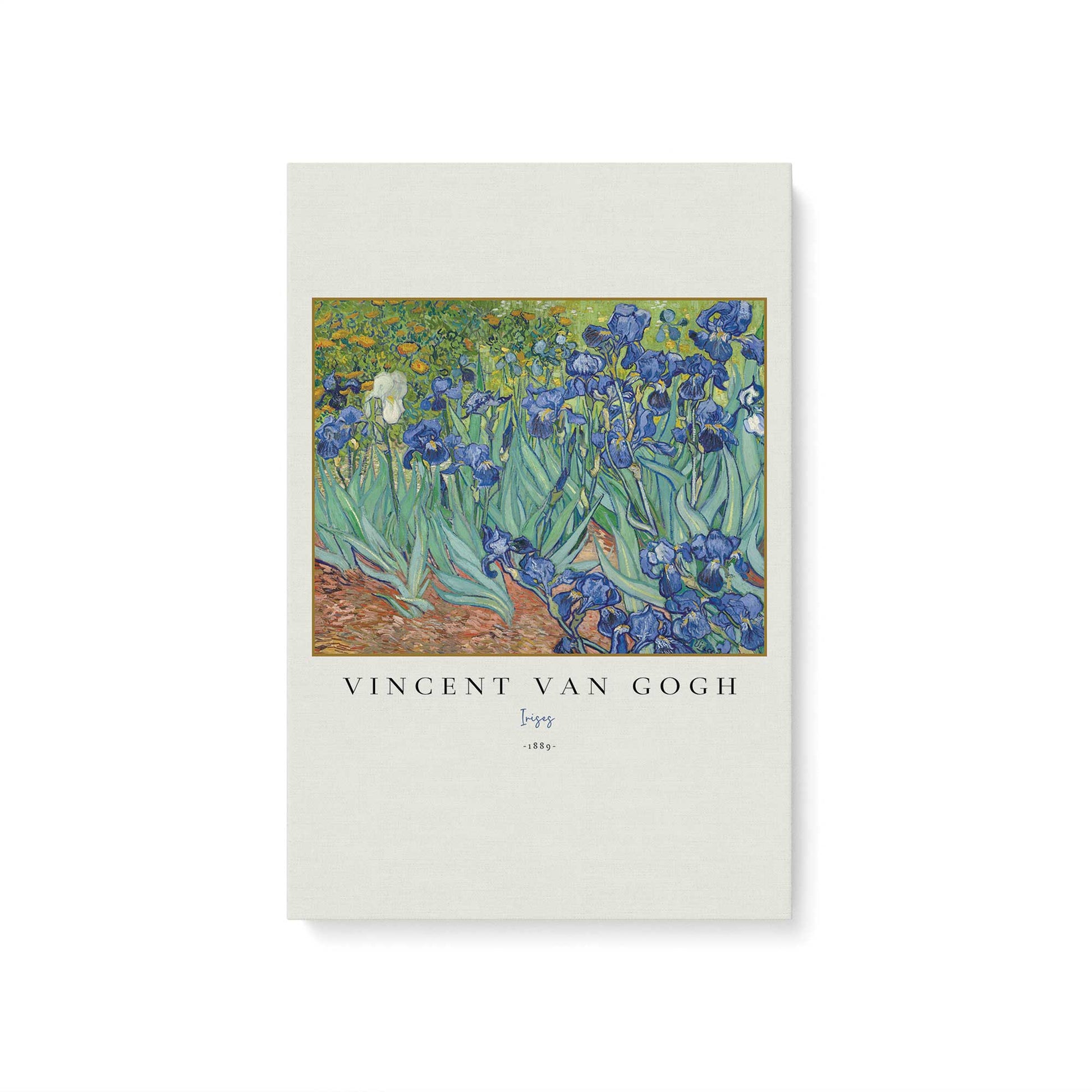 [Color:Stretched Canvas], Picture of art