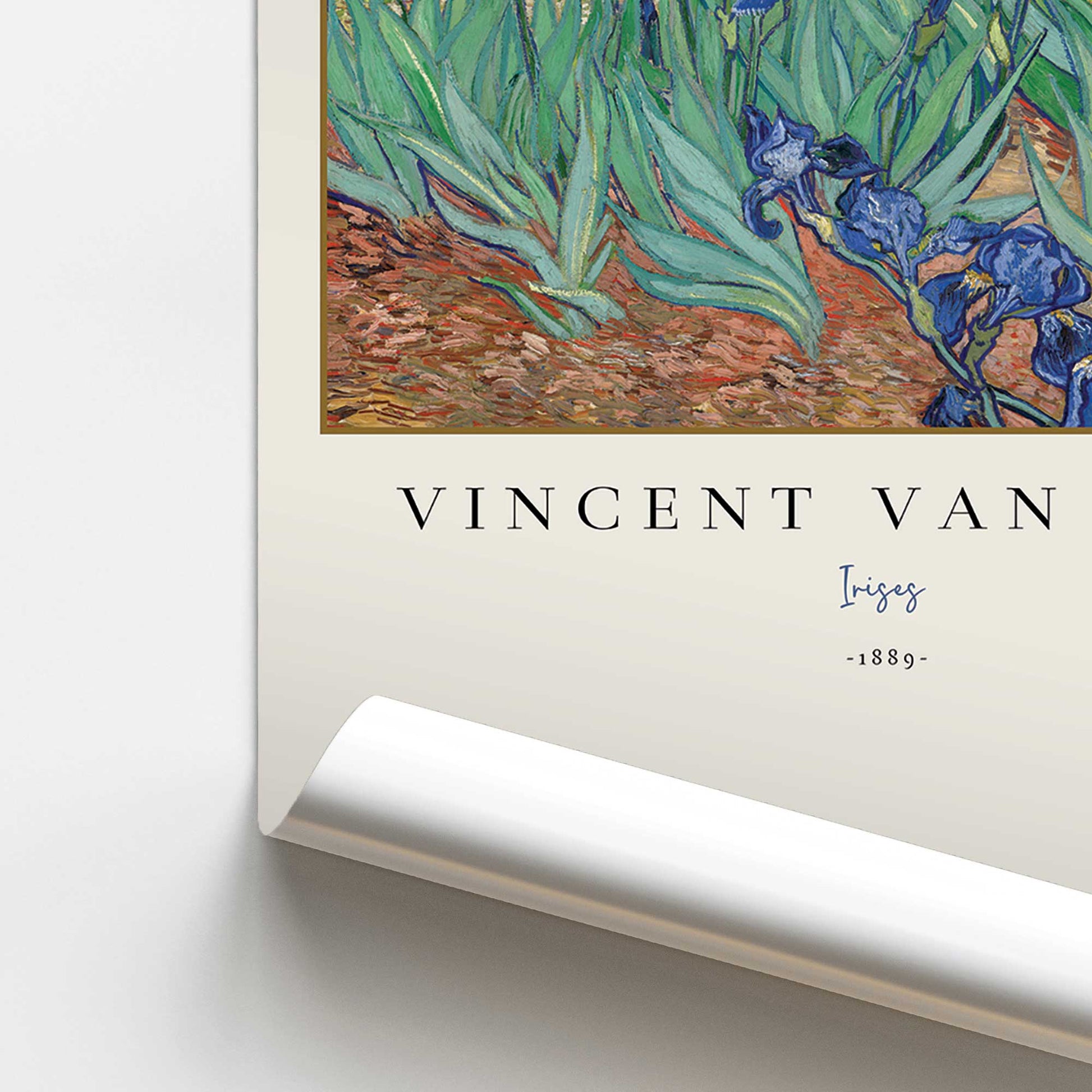 [color:Rolled Print], Picture of close up of art