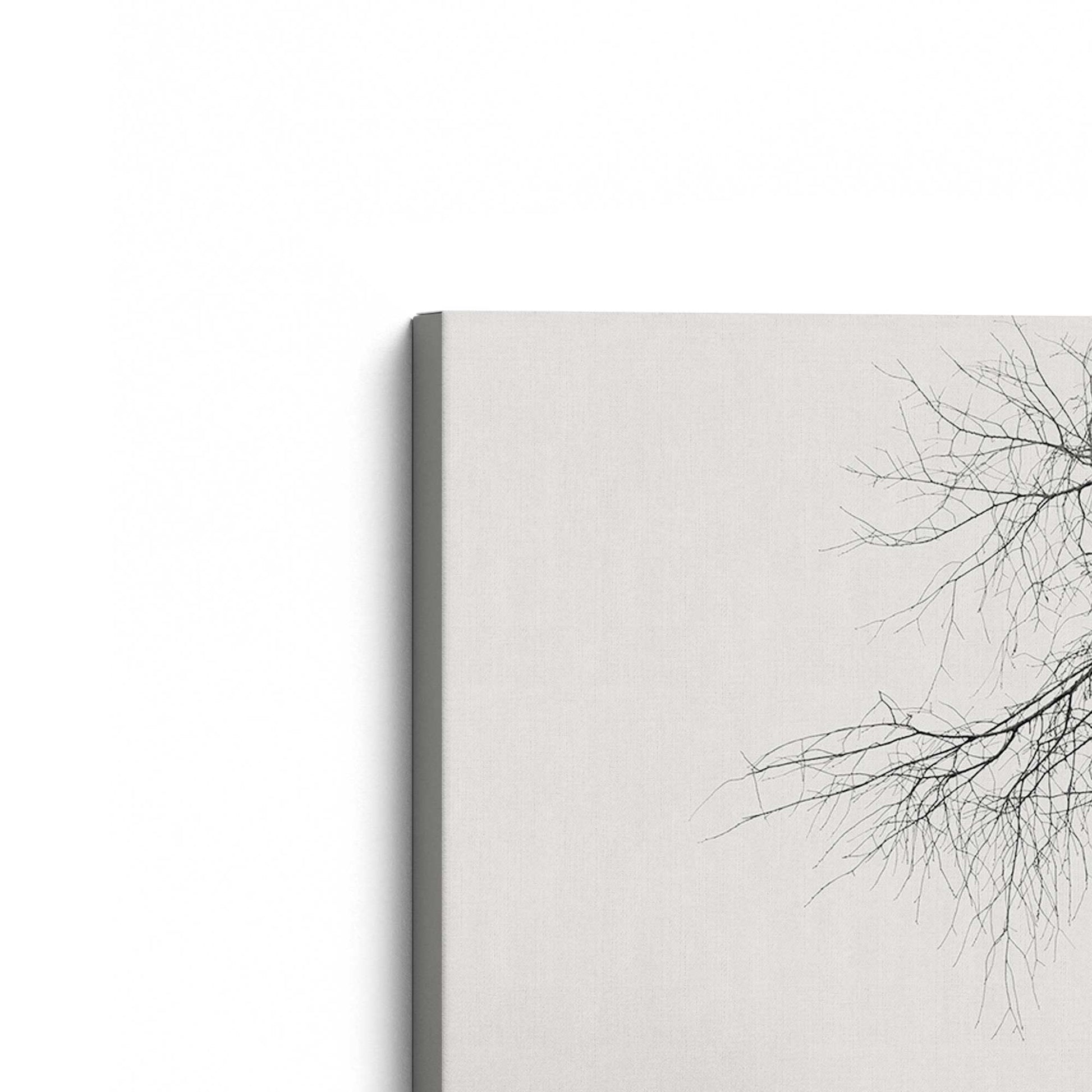 [Color:Stretched Canvas], Picture of art at an angle