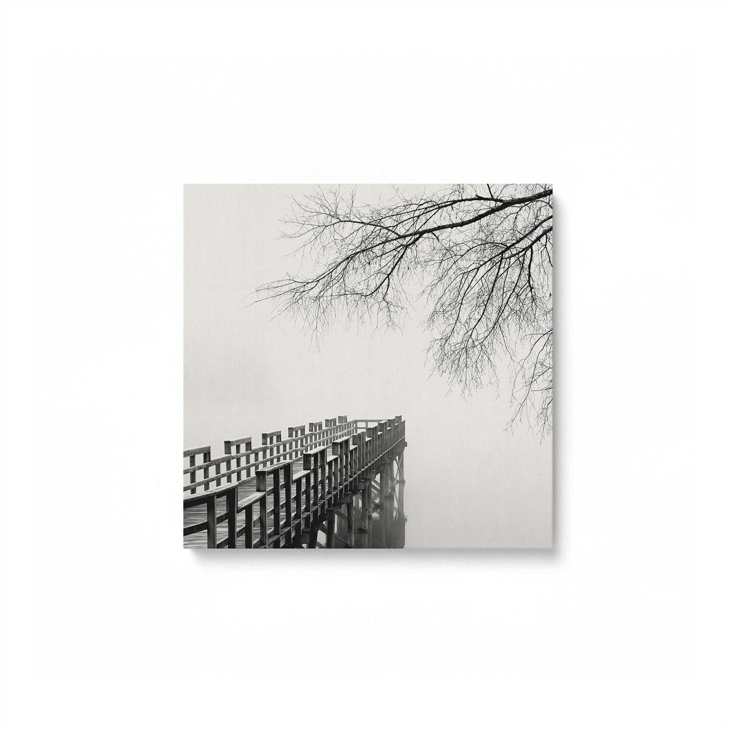 [Color:Stretched Canvas], Picture of art