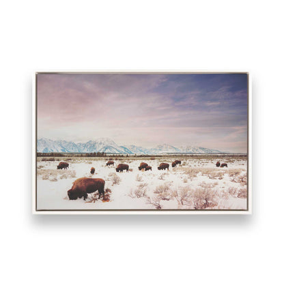 [Color:Opaque White], Picture of art in a White frame