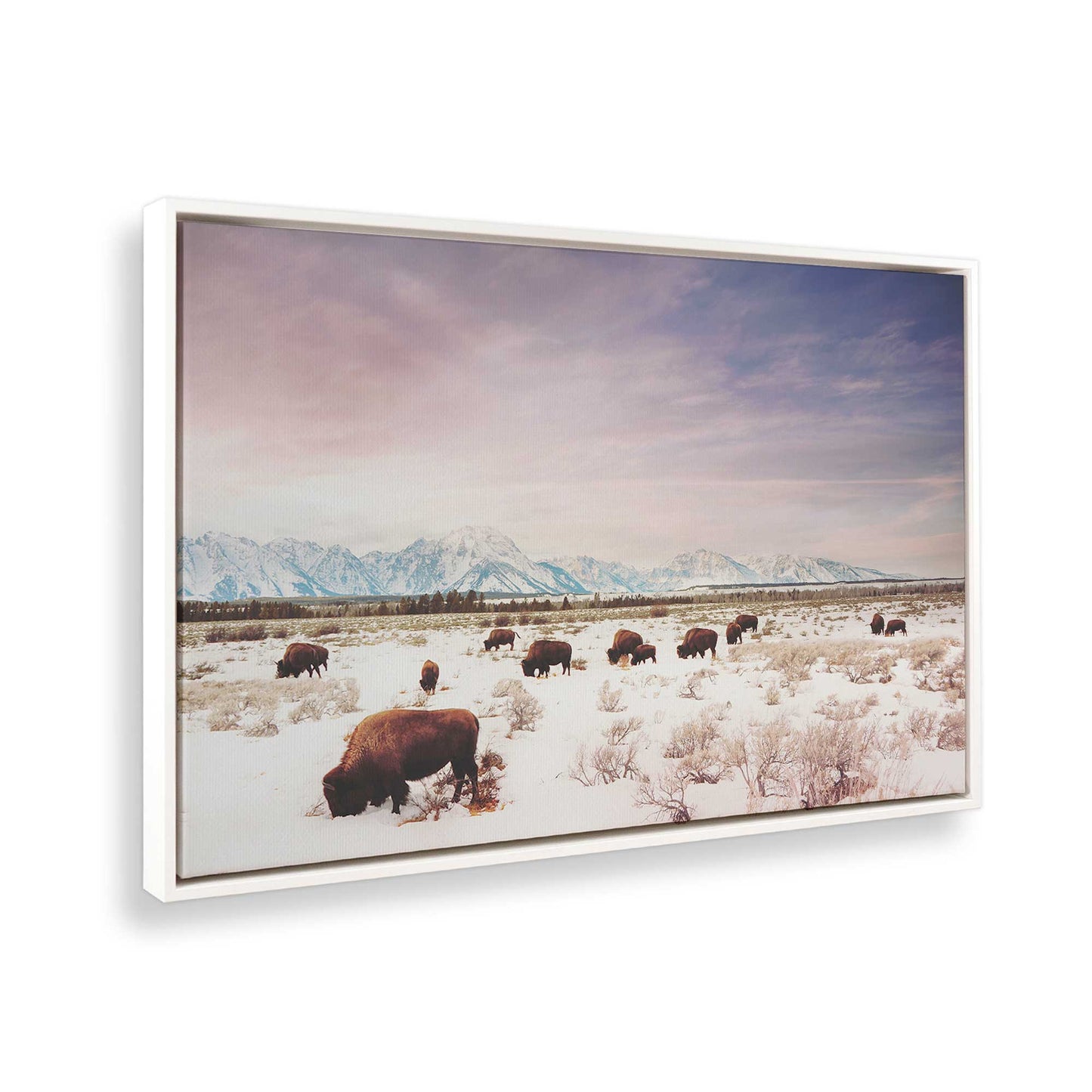 [Color:Opaque White], Picture of the corner of the art