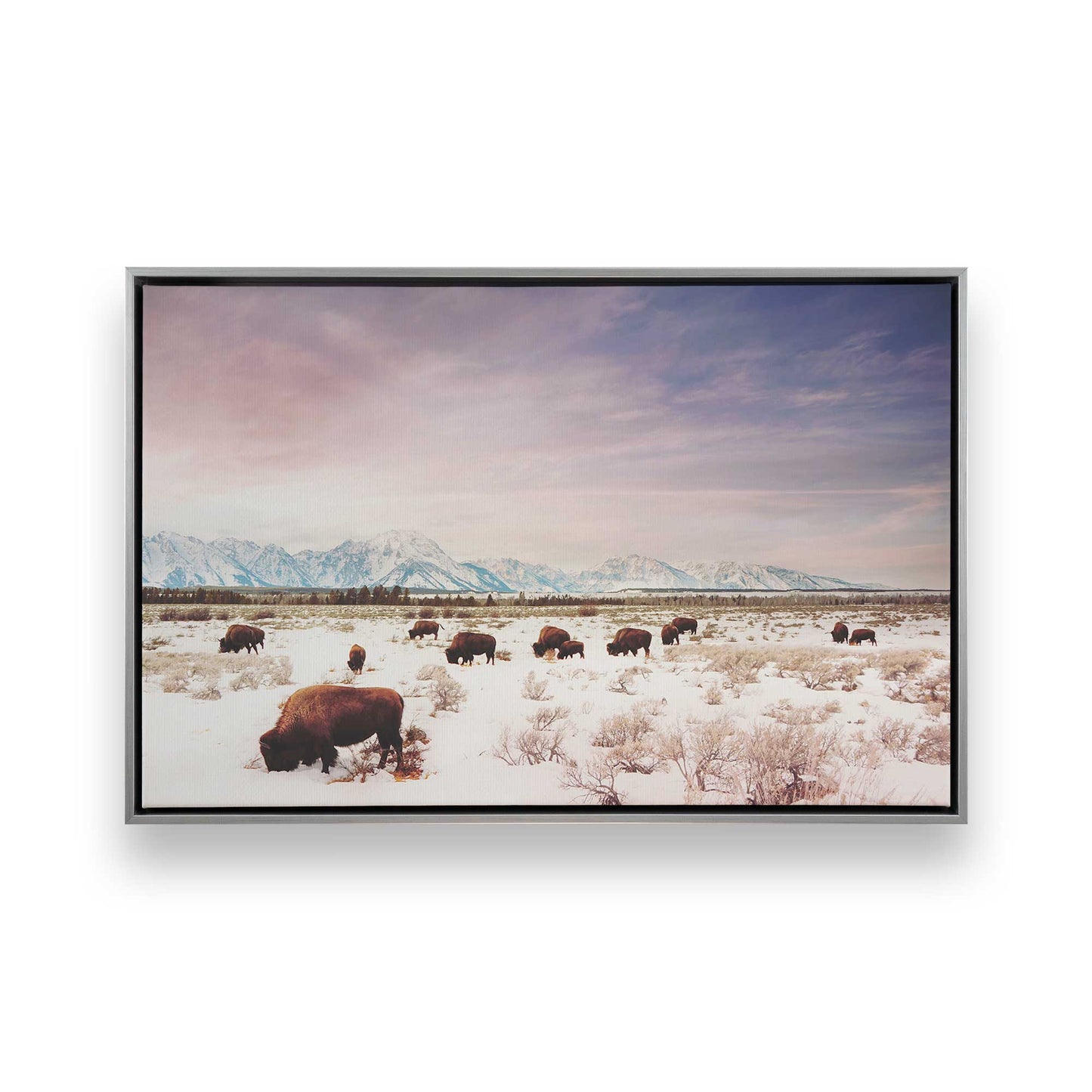 [Color:Polished Chrome], Picture of art in a Polished Chrome frame