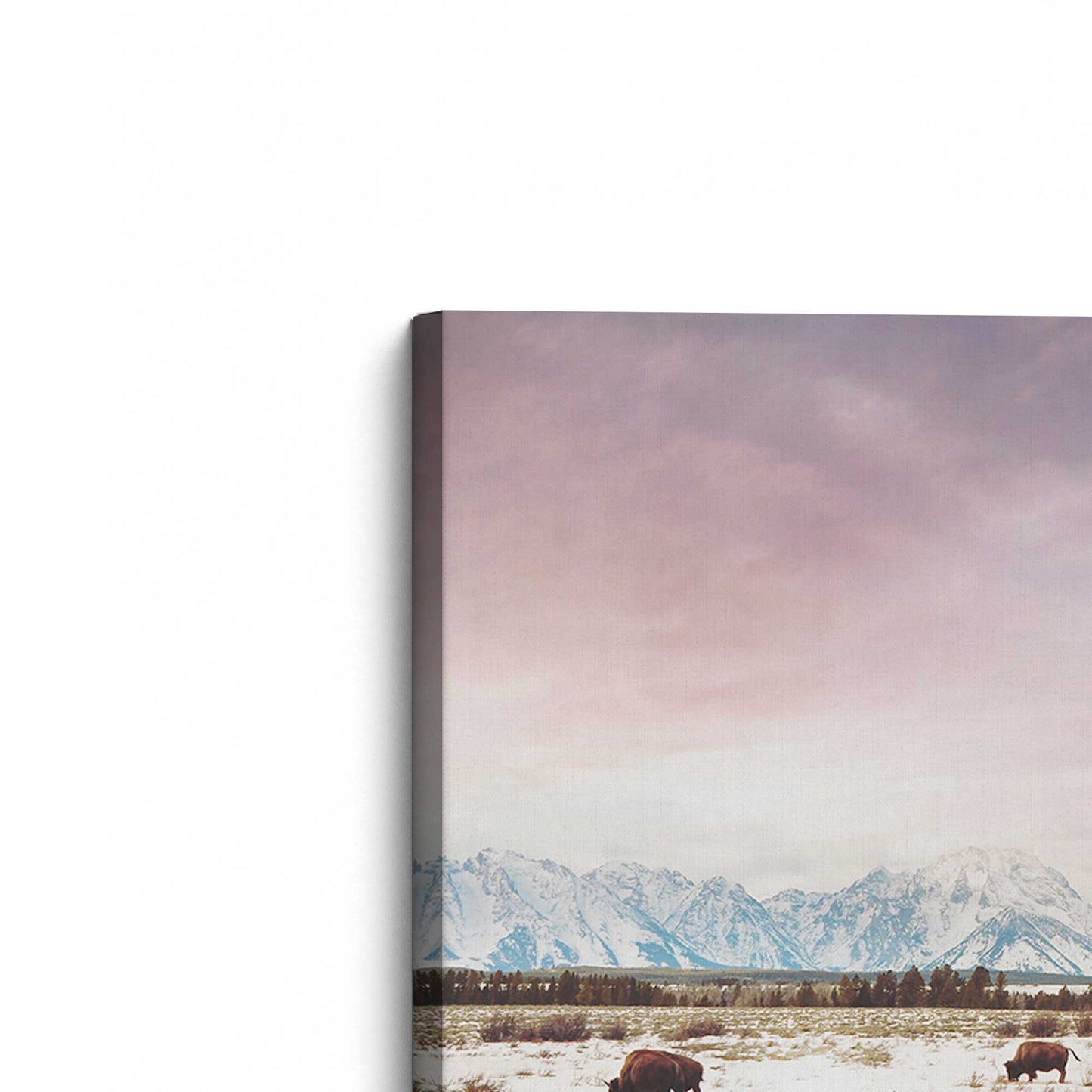 [Color:Stretched Canvas], Picture of the corner of the art