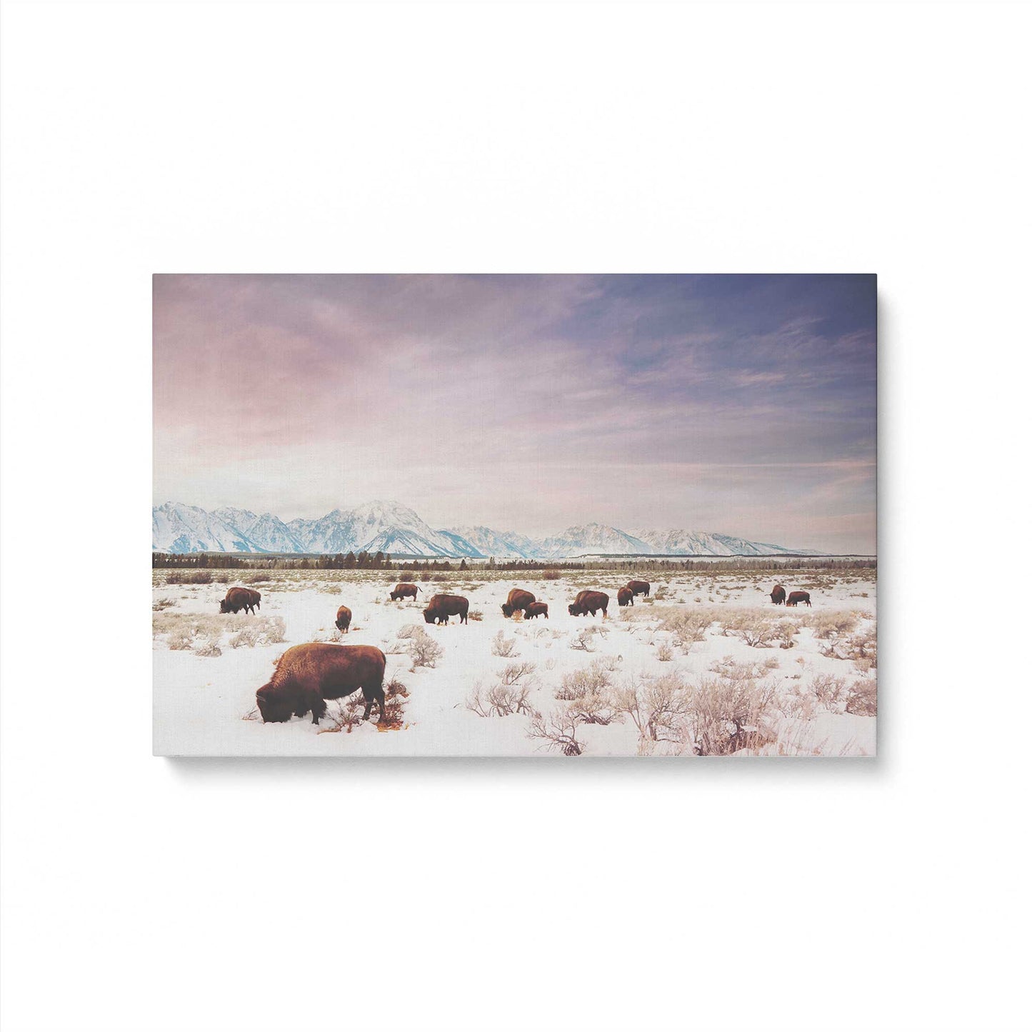 [Color:Stretched Canvas], Picture of art