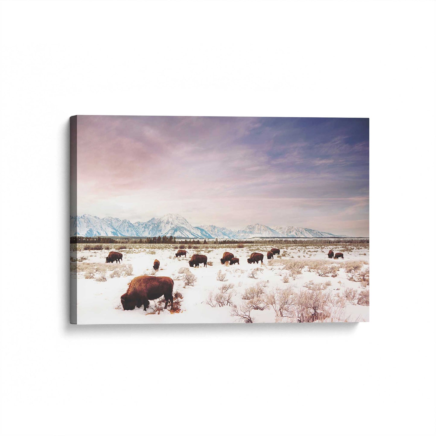 [Color:Stretched Canvas], Picture of art at an angle