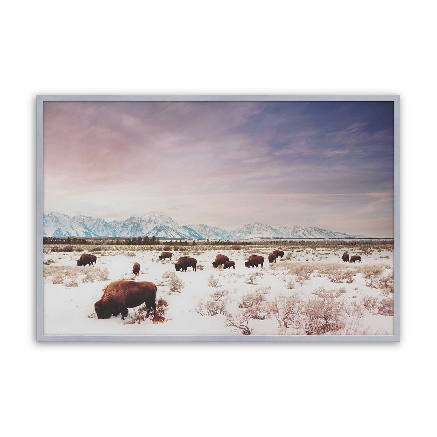 [Color:Polished Chrome], Picture of art in a Polished Chrome frame