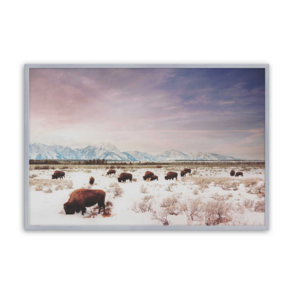 [Color:Polished Chrome], Picture of art in a Polished Chrome frame