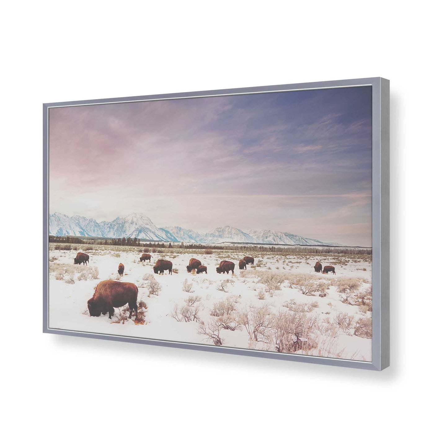 [Color:Polished Chrome], Picture of art in a Polished Chrome frame of the corner