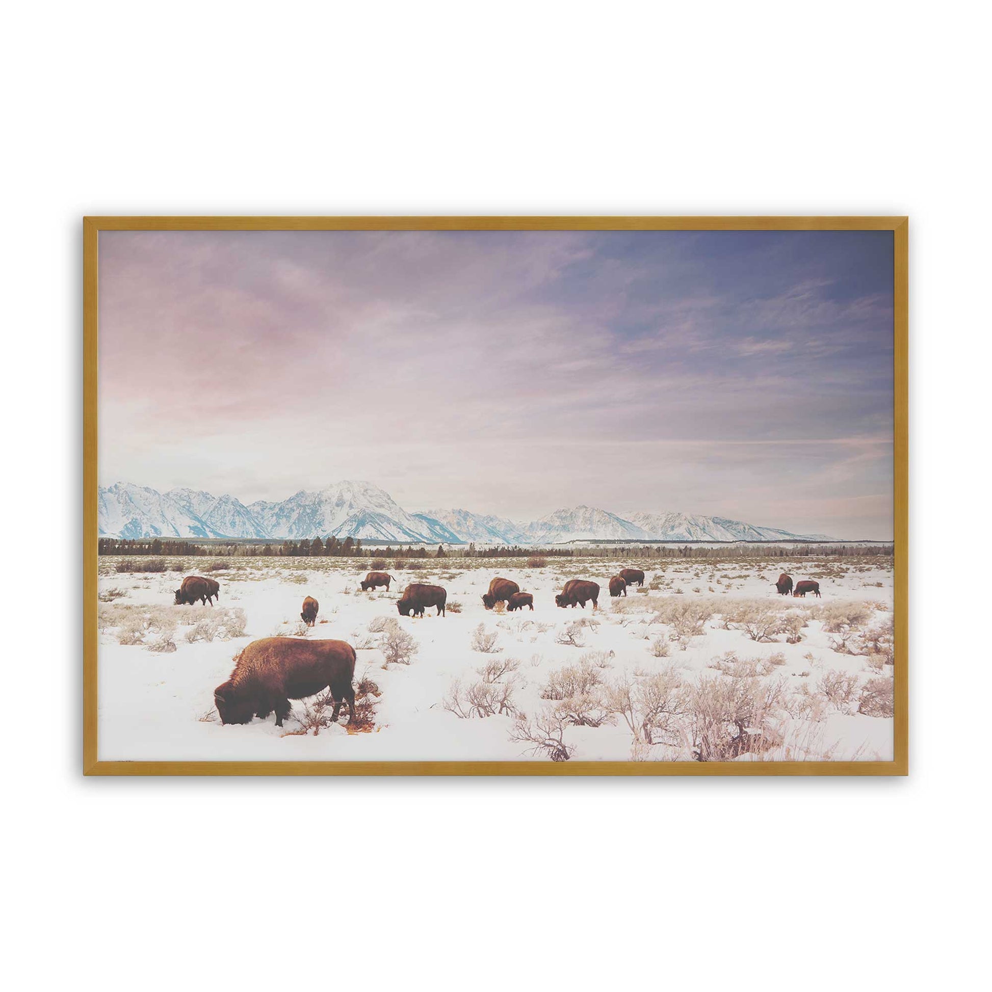 [Color:Polished Gold], Picture of art in a Polished Gold frame
