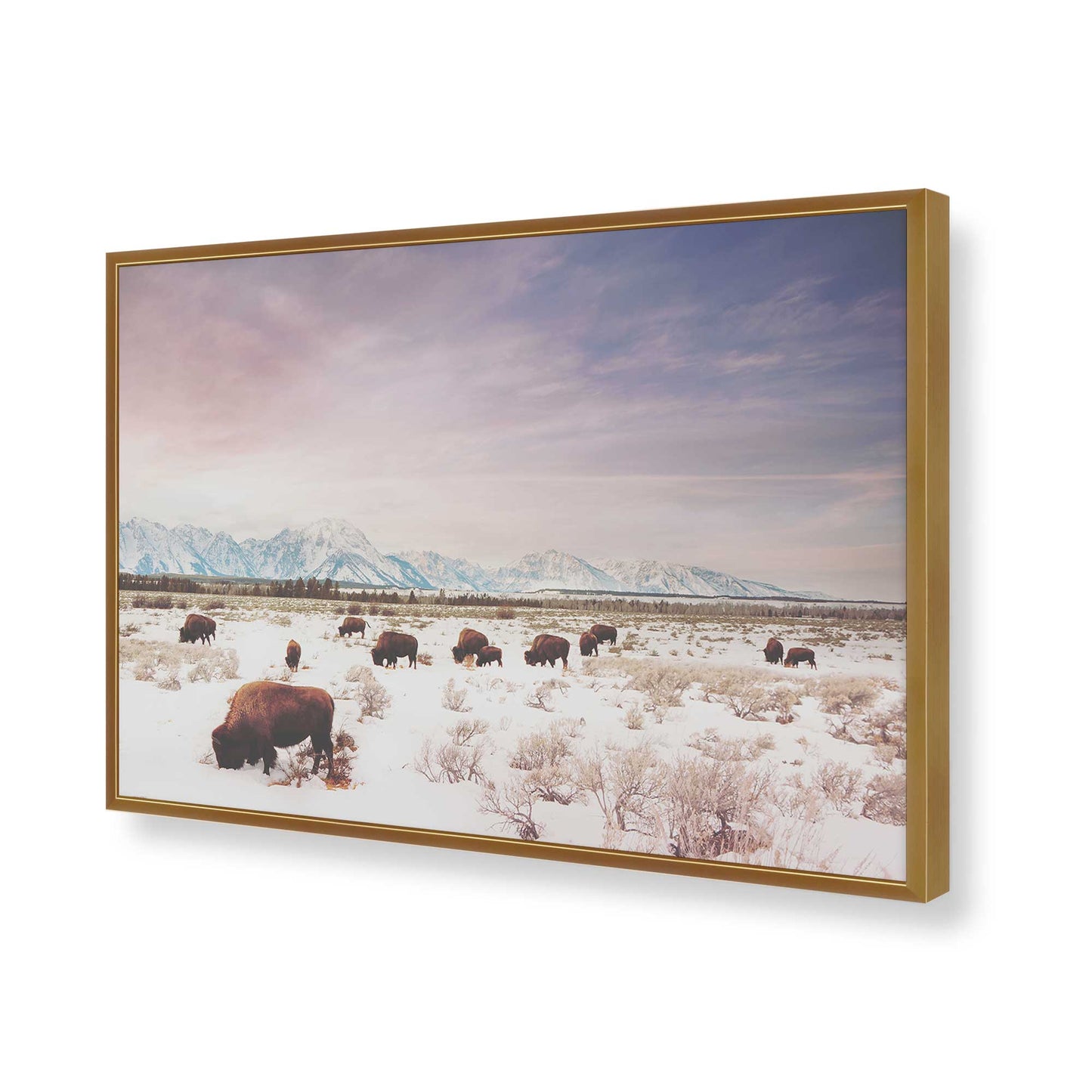 [Color:Polished Gold], Picture of art in a Polished Gold frame of the corner