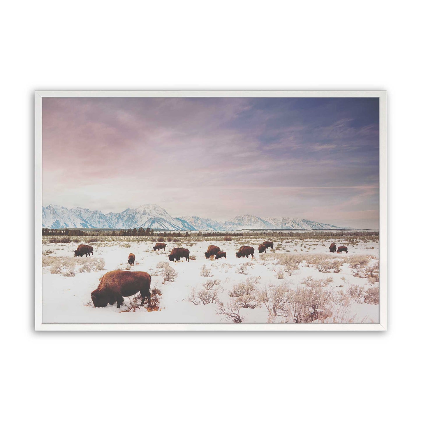 [Color:Opaque White], Picture of art in a Opaque White frame