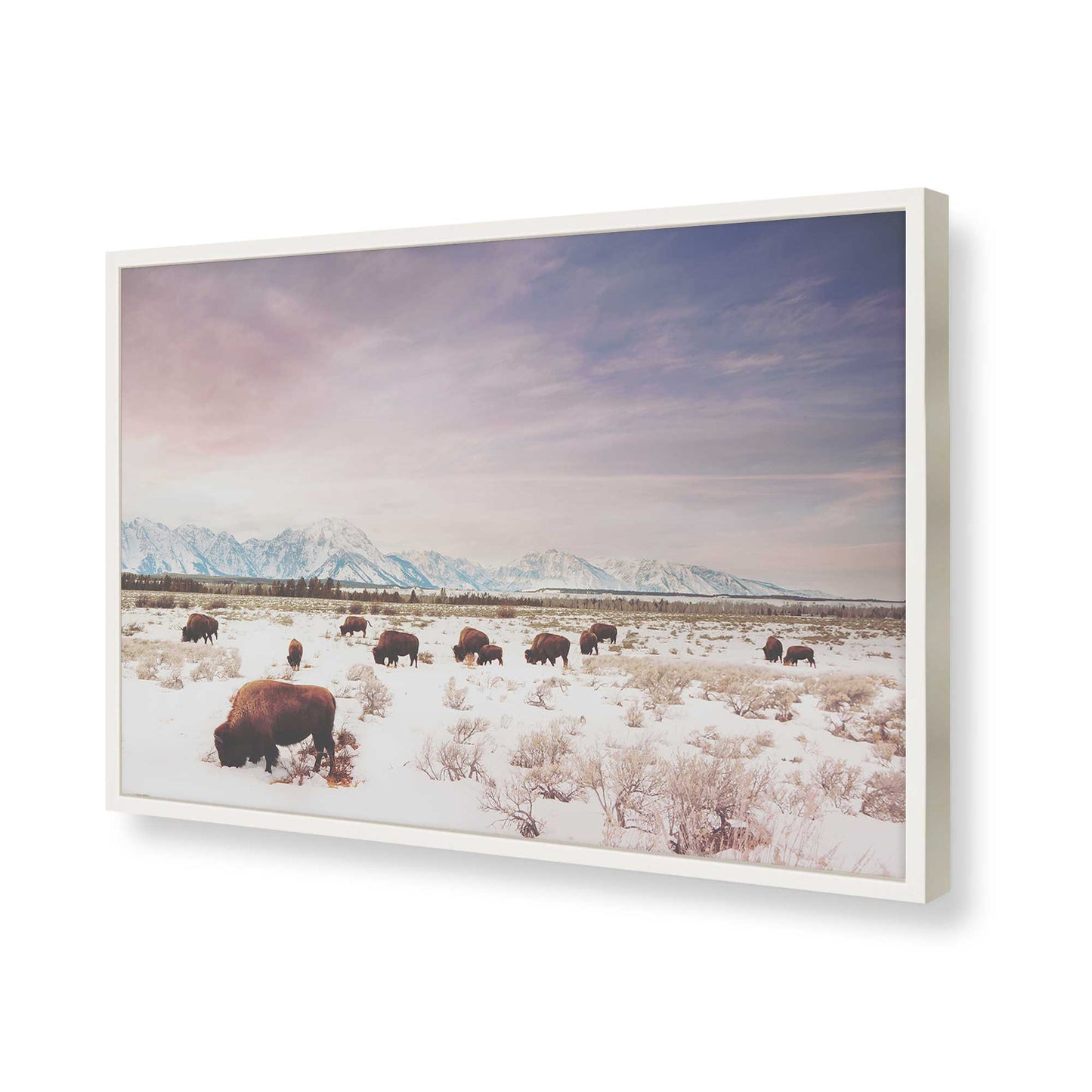 [Color:Opaque White], Picture of art in a Opaque White frame of the corner