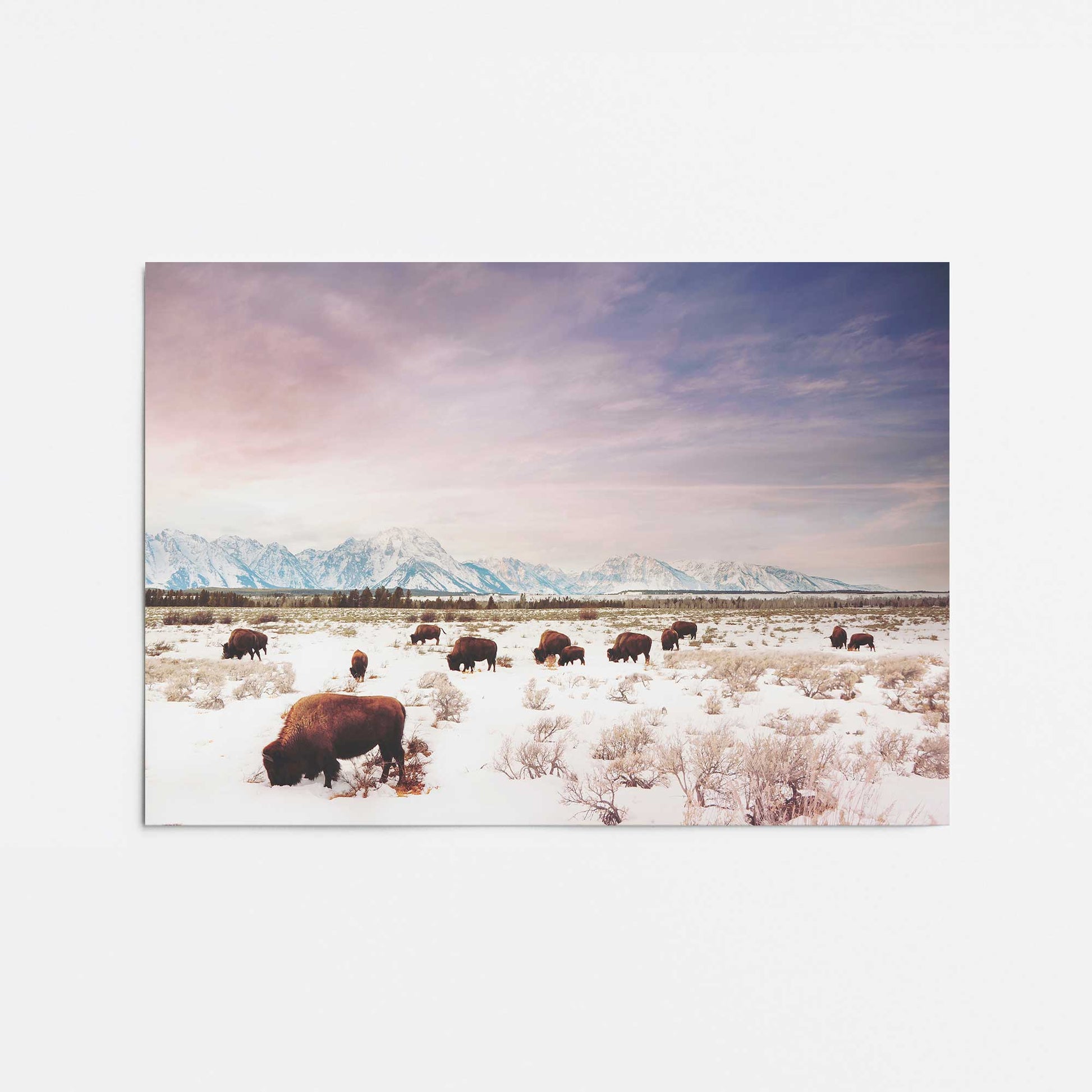 [Color:Rolled Print], Picture of close up of art